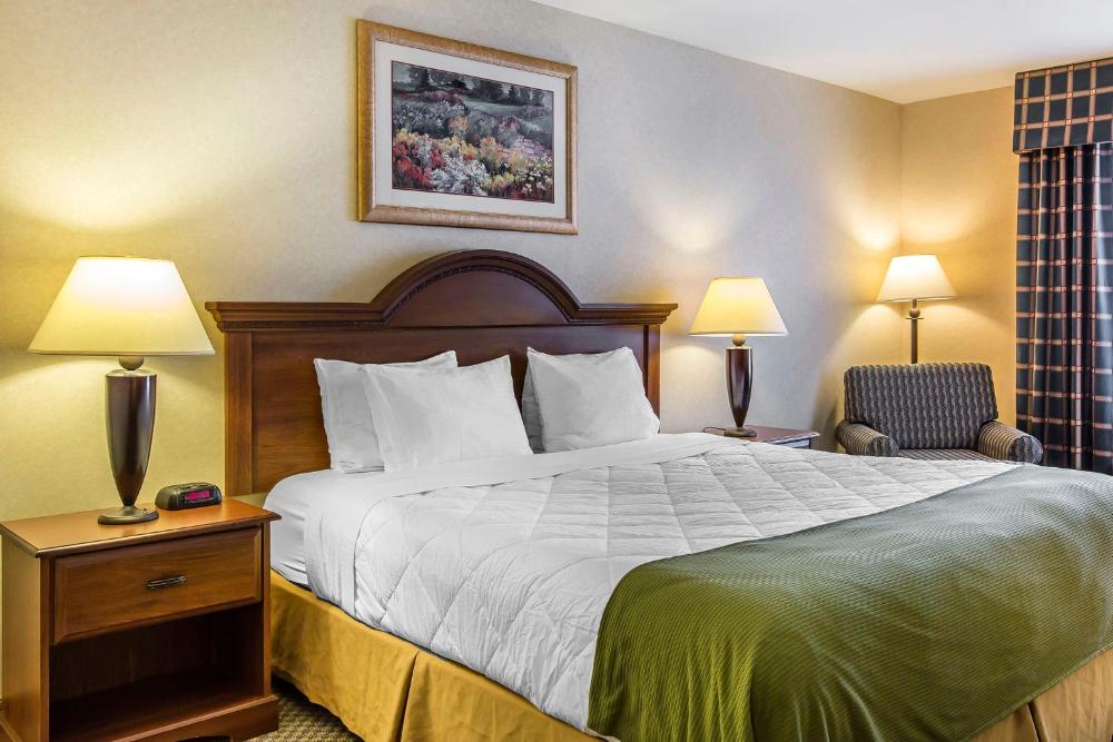 Standard King Room - Non-Smoking  interior